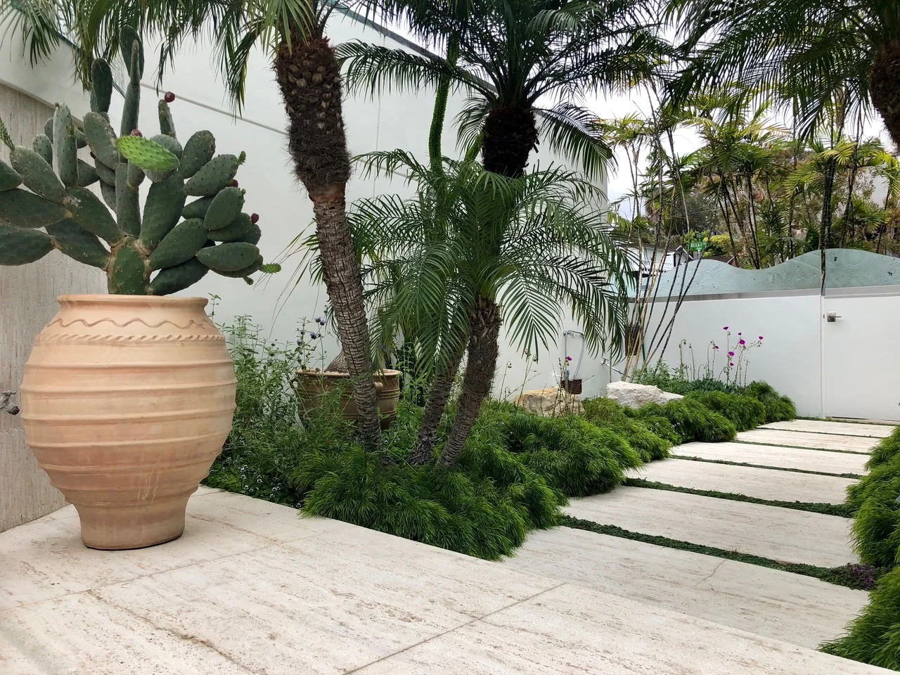 Tropical planting and a terracotta urn beside a stepping-stone pathway