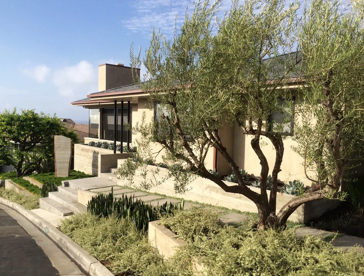 Drought-tolerant planting, stone borders, and olive trees beside a home