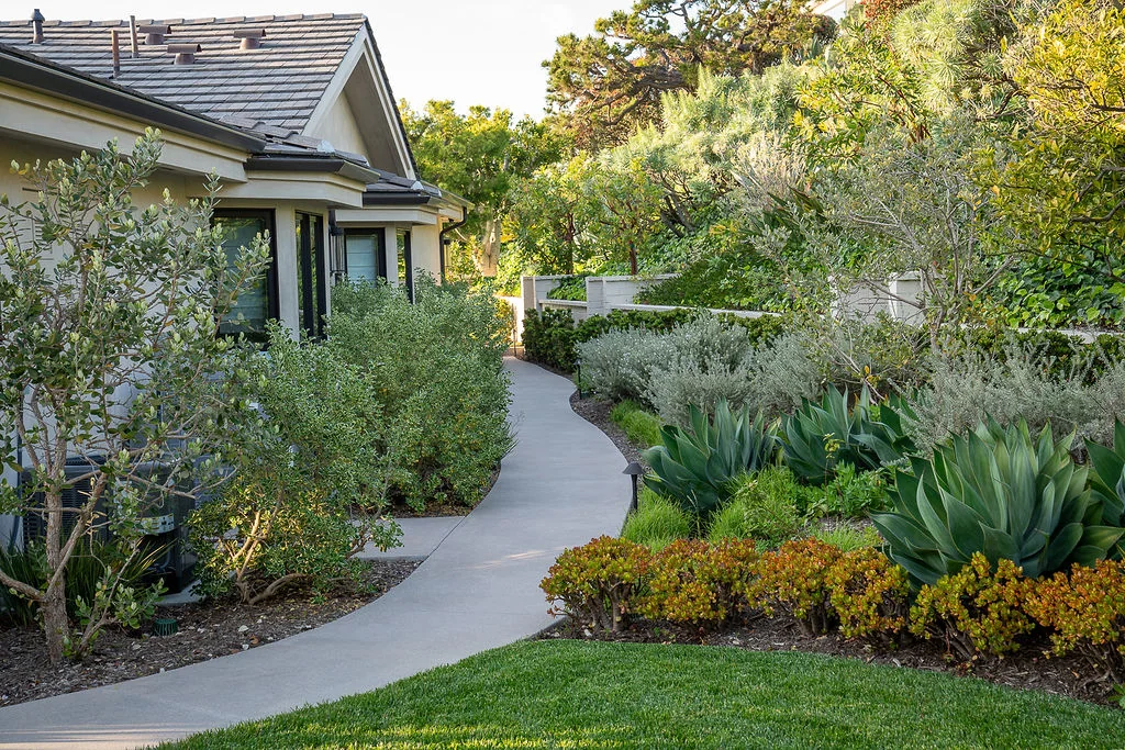 Curved walkway through lush, layered front-garden planting